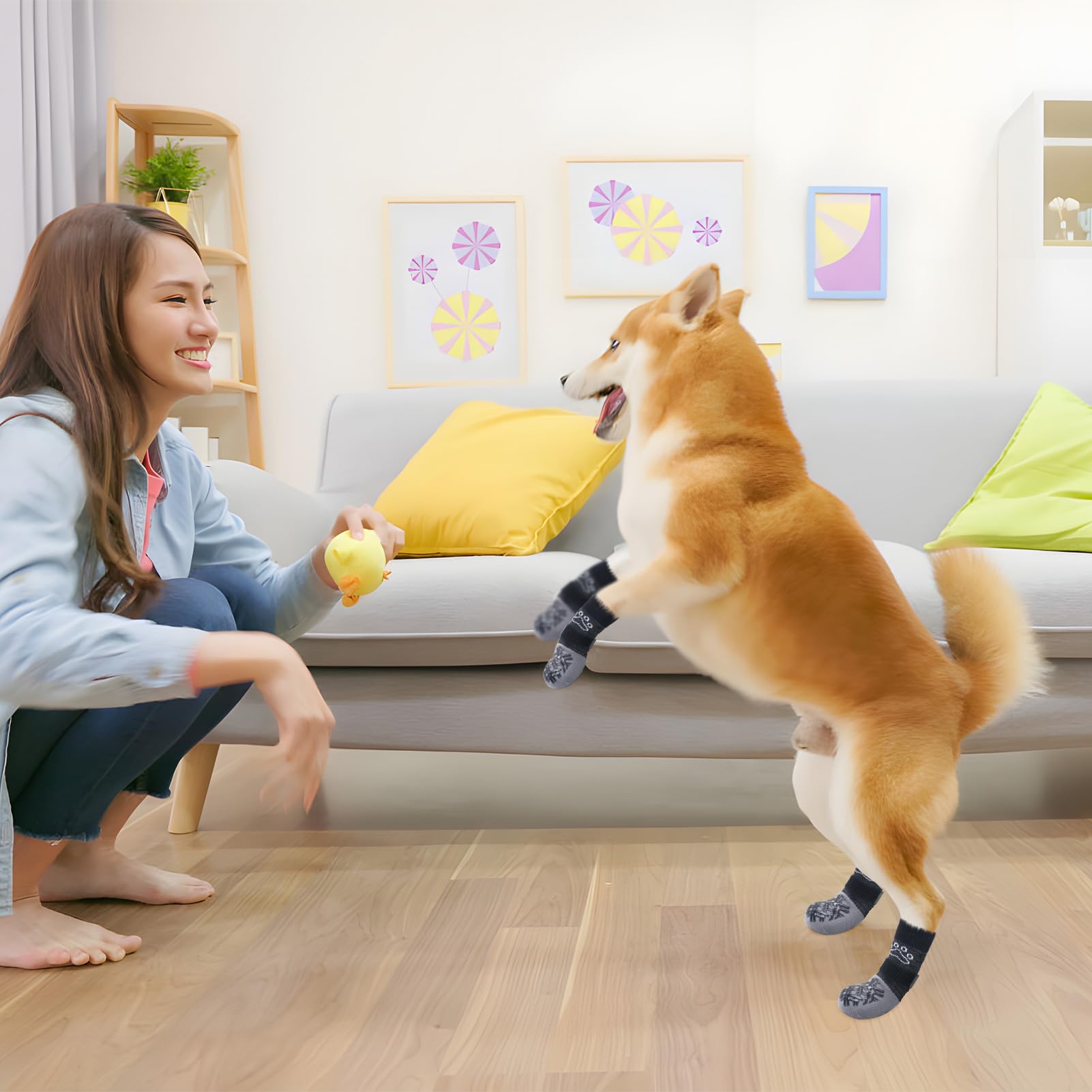 BEAUTYZOO calcetines perros aptos para todas las tallas y uso diario