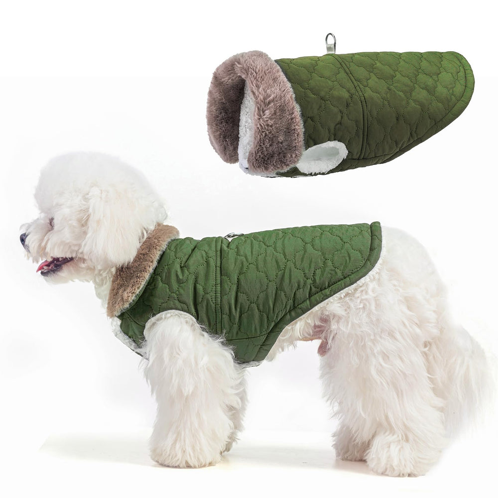 BEAUTYZOO capa para perro con arnés integrado, vista frontal, protección contra viento