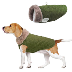 BEAUTYZOO capa invierno para perro con correa integrada, ideal para paseos seguros.