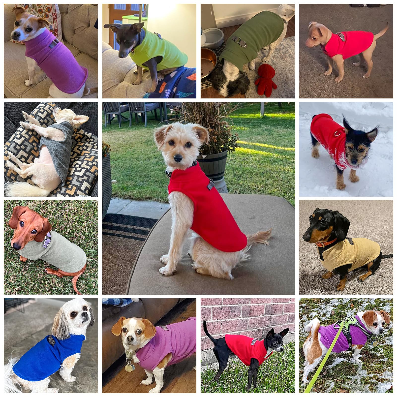 BEAUTYZOO chaleco forro polar perro estilo de colocación por la cabeza, fácil de colocar