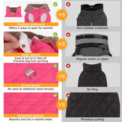 BEAUTYZOO chaleco para perro con arnés integrado y ajuste seguro, paseos tranquilos.