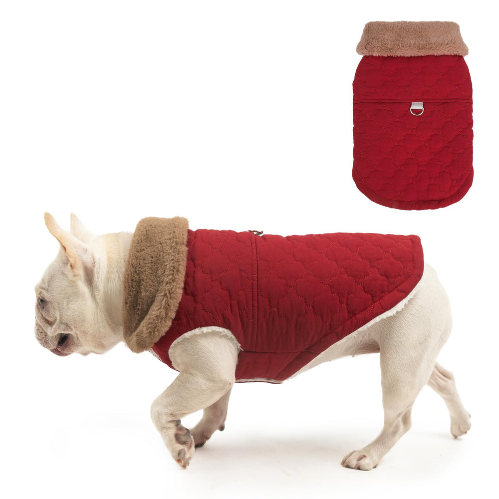 BEAUTYZOO chaleco-invierno-perro con arnés integrado, ideal para paseos.