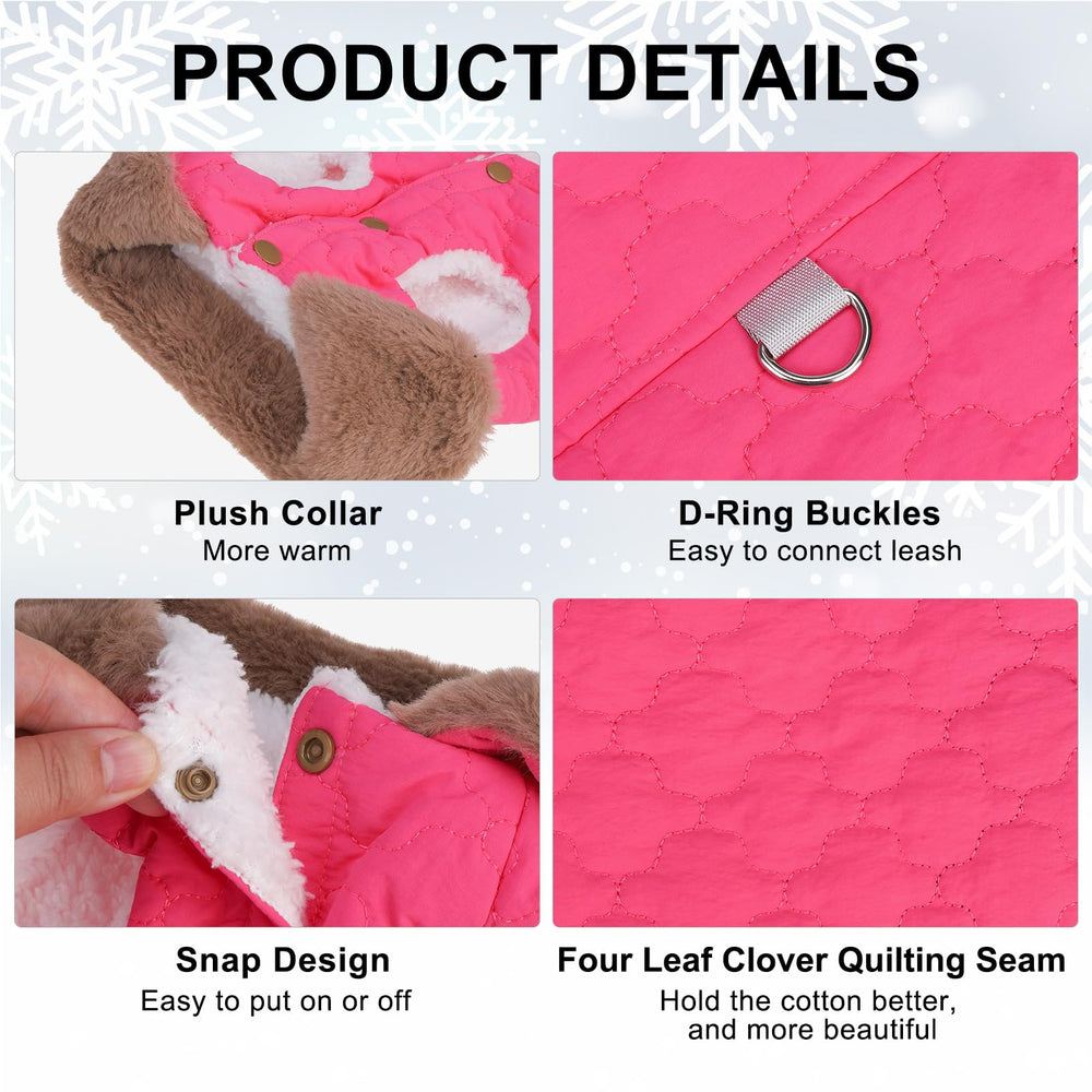 BEAUTYZOO chaleco para perro con costuras trébol de cuatro hojas, diseño elegante y cómodo.