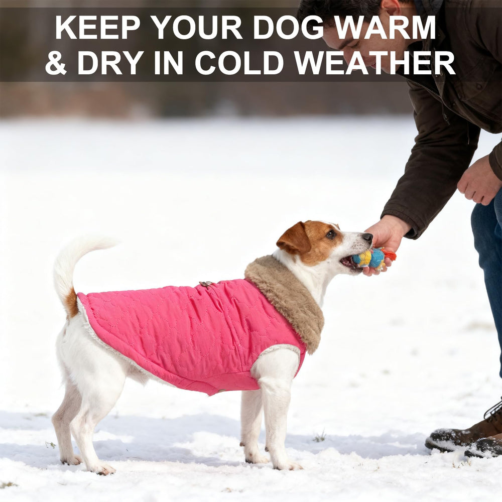 BEAUTYZOO chaqueta de perro con forro doble de felpa, calor suave para días fríos.