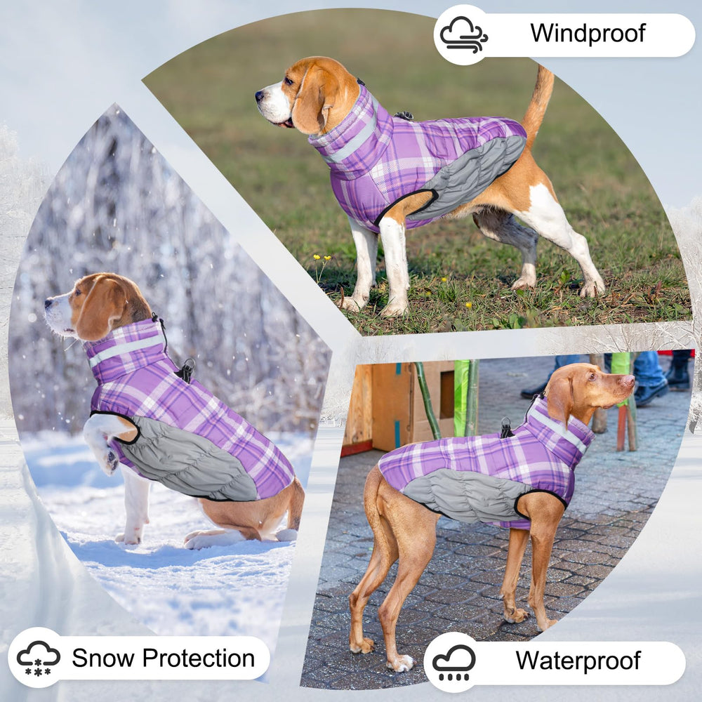 BEAUTYZOO chaleco-perro-con tiras reflectantes para mayor visibilidad nocturna