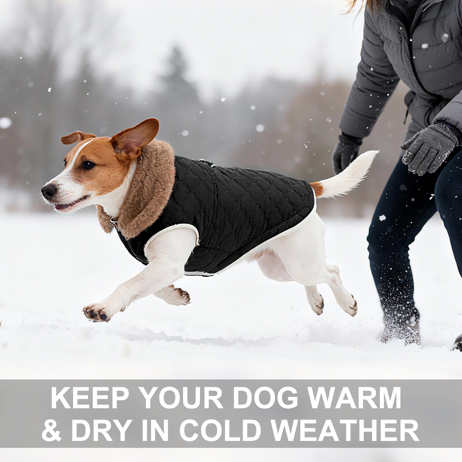 BEAUTYZOO chaleco perro invierno cuello peluche extendido, protección contra viento