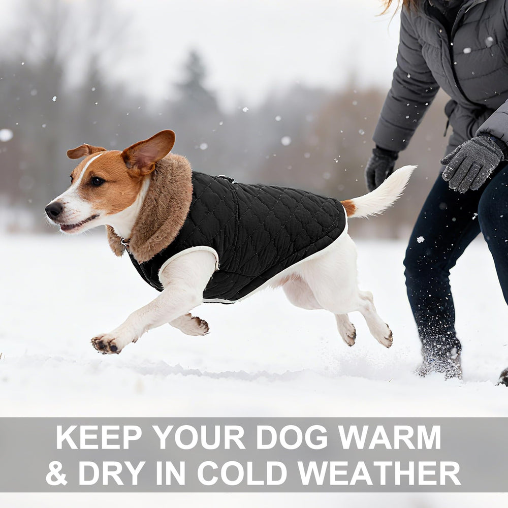 BEAUTYZOO chaleco perro invierno cuello peluche extendido, protección contra viento