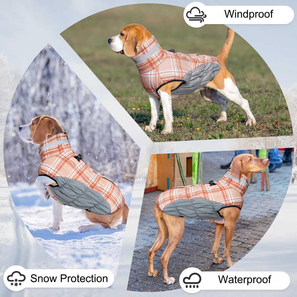 BEAUTYZOO chaqueta para perro con D-ring trasero para enganchar la correa