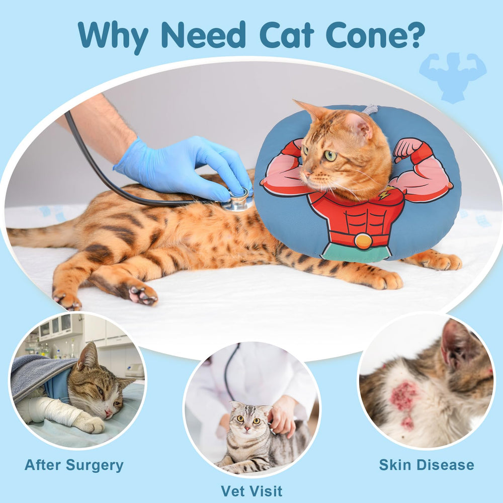 BEAUTYZOO collar-ajuste-cordon-gato demuestra ajuste seguro para talla mediana