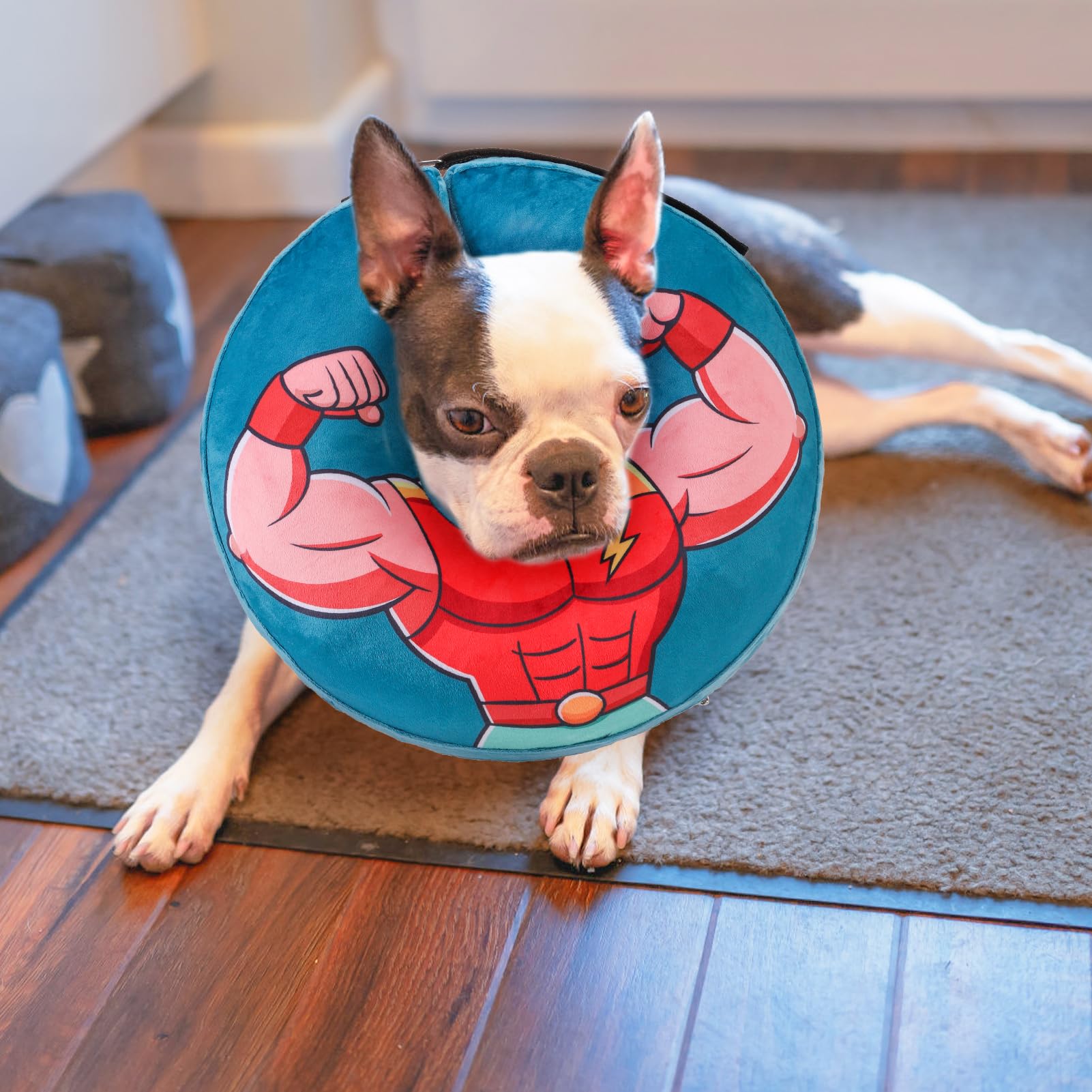 BEAUTYZOO collar donut uso casa, diseño agradable que acompaña el descanso en casa
