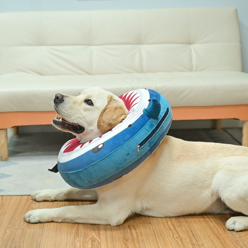 BEAUTYZOO collar donut uso diario, cómodo para perros medianos durante la vida diaria.
