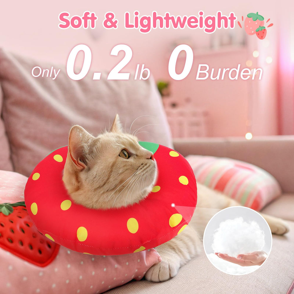 BEAUTYZOO collar-gato-ajustable permite ajuste seguro y cómodo.