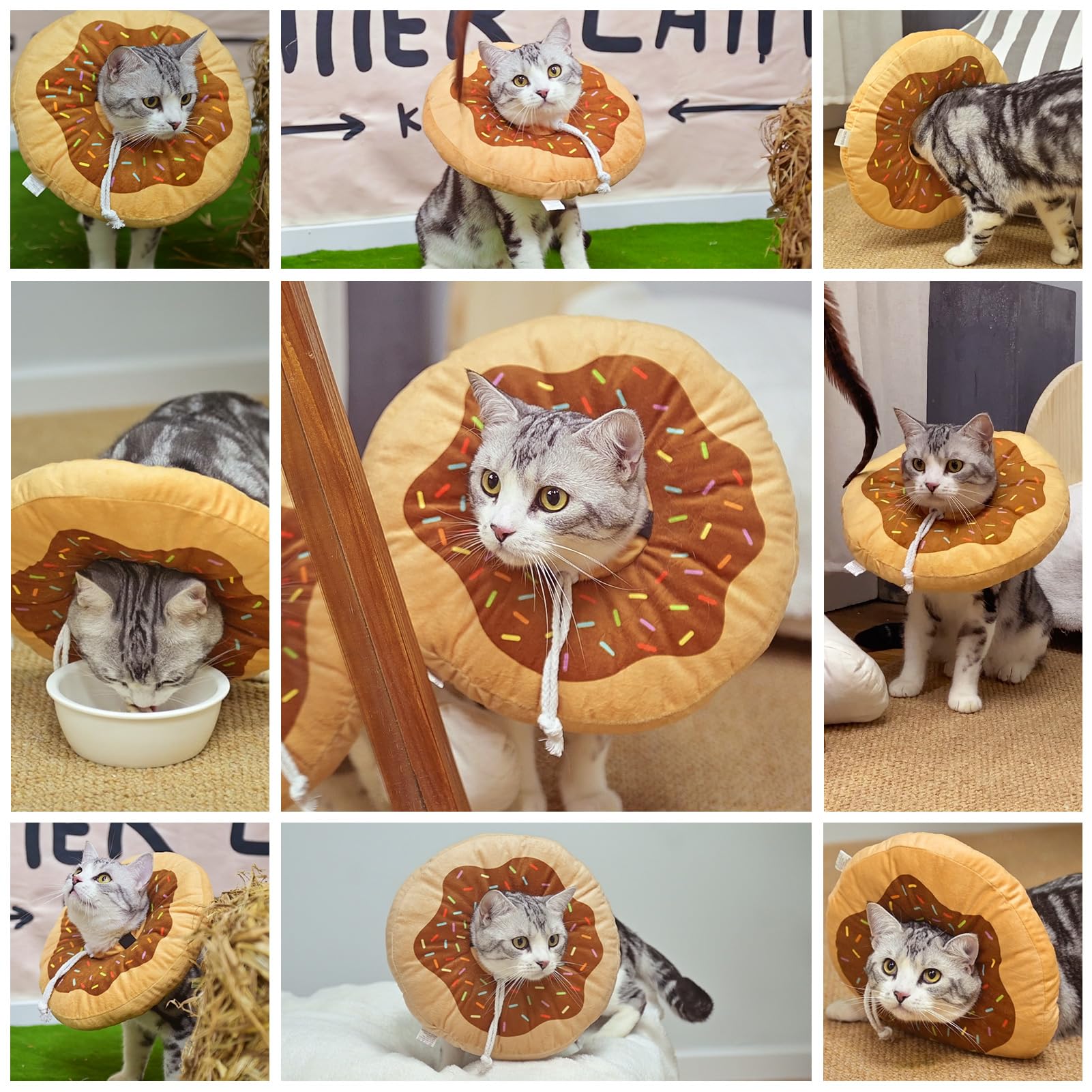 Uso diario seguro con collar BEAUTYZOO para gatos pequeños.
