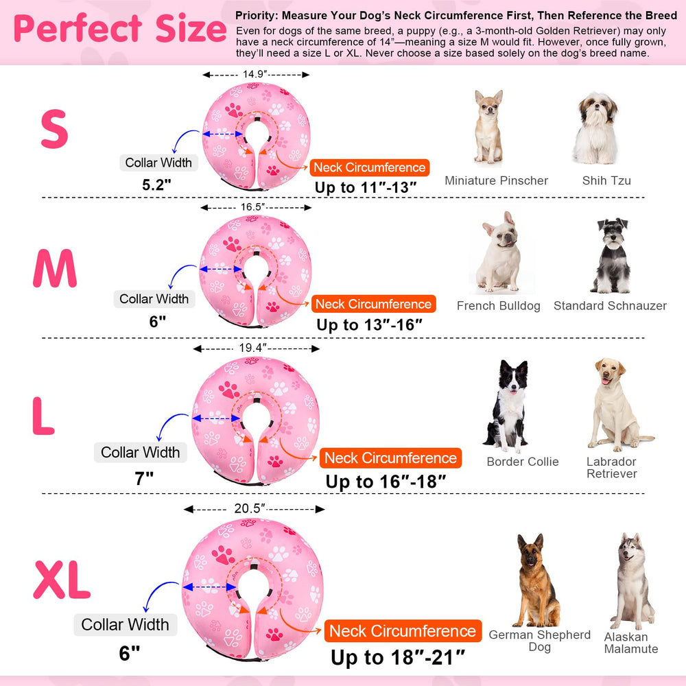 BEAUTYZOO collar rosquilla para gatos y perros, uso versátil.