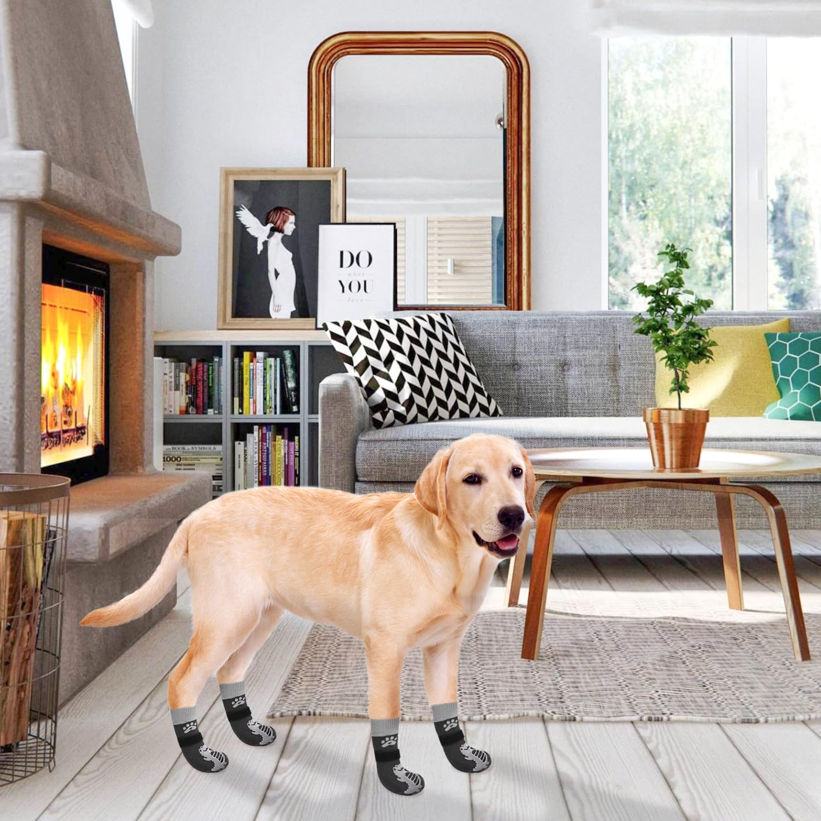 BEAUTYZOO conjunto seis calcetines para perro ofrece repuestos prácticos