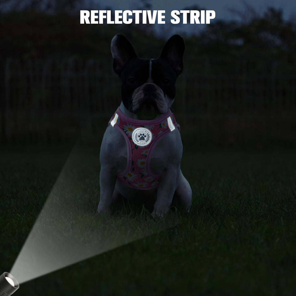 BEAUTYZOO correa de 5 pies reflectante para libertad controlada