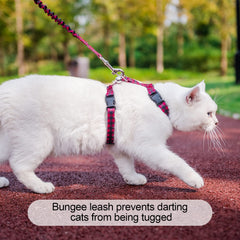 BEAUTYZOO correa-gato-59-pulgadas ideal para control suave.