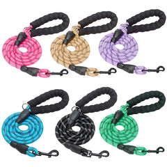 BEAUTYZOO correa de perro 6 piezas, conjunto de 5 pies para paseos cómodos