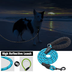 BEAUTYZOO correa de perro reflectante de nailon para mayor visibilidad nocturna
