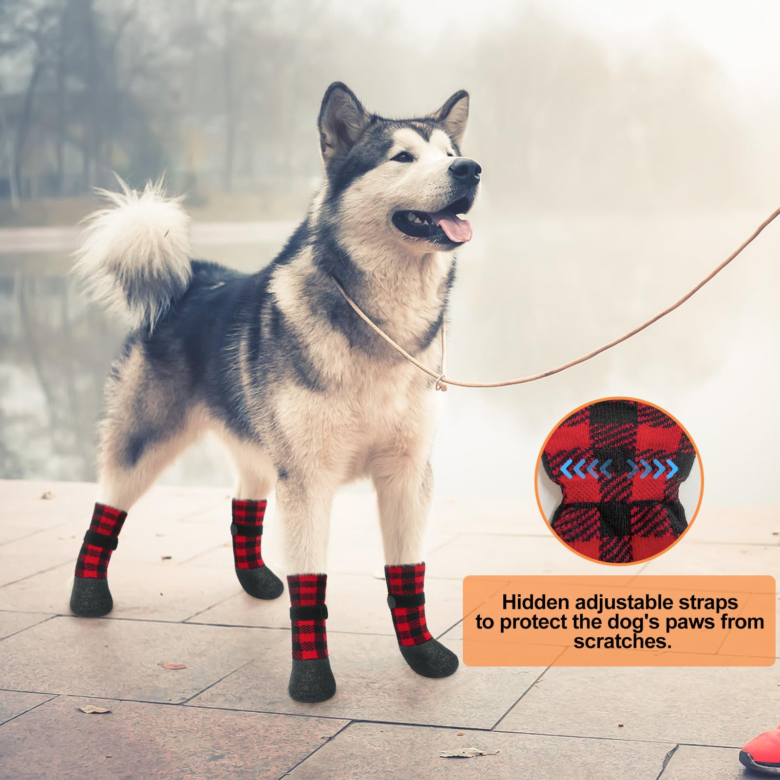Diseño a cuadros rojo y negro Beautyzoo, añade estilo durante los paseos.
