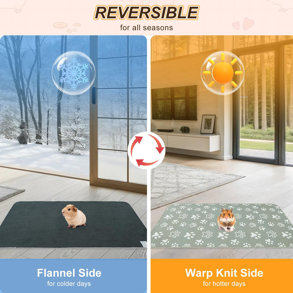 BEAUTYZOO: diseño reversible de dos caras para uso prolongado.