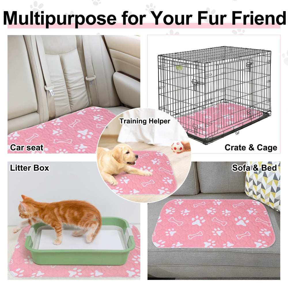 BEAUTYZOO pack doble de almohadillas para ahorro y versatilidad.