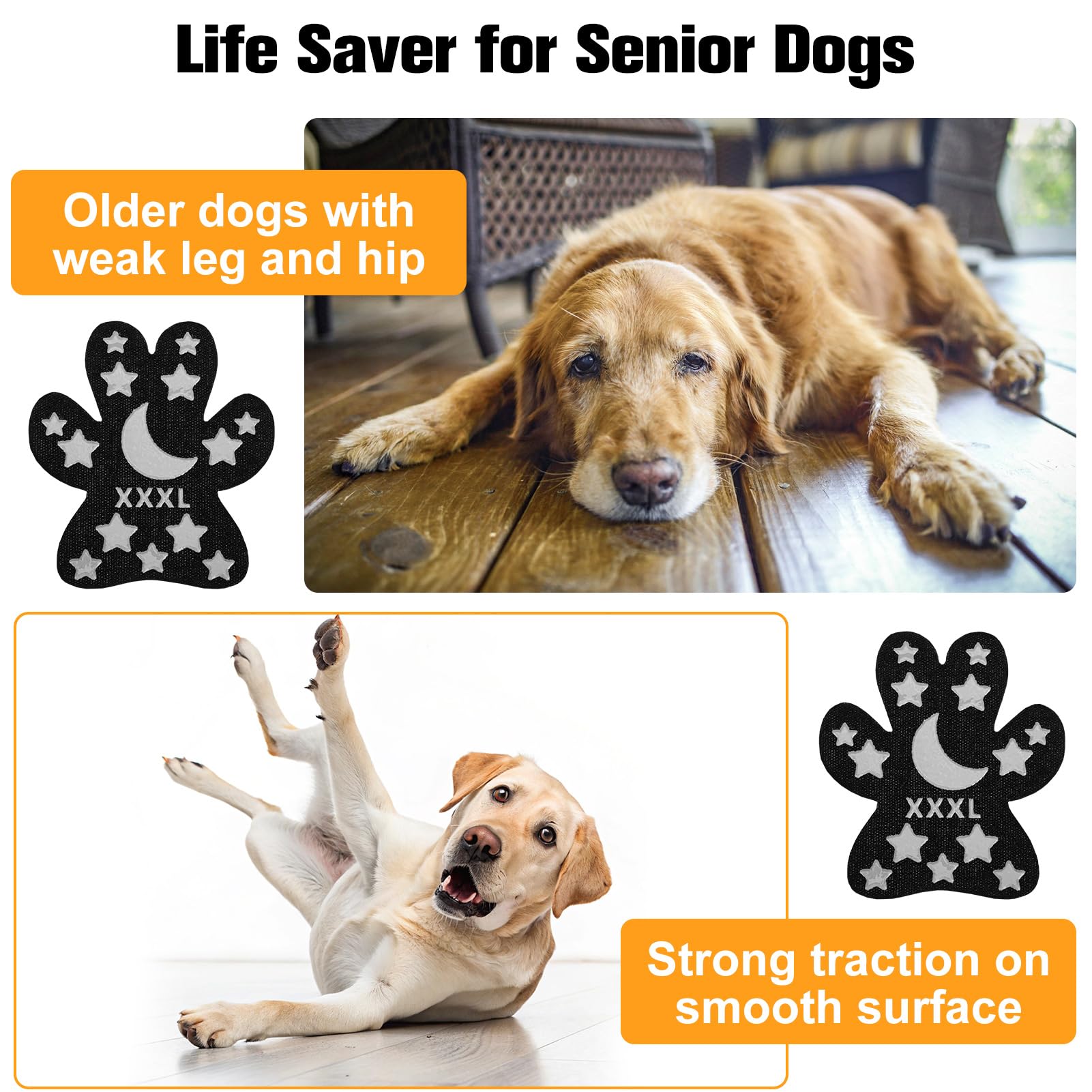 BEAUTYZOO durabilidad y protección constante para perros activos.