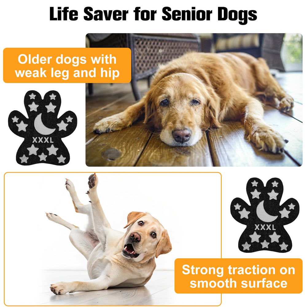 BEAUTYZOO durabilidad y protección constante para perros activos.
