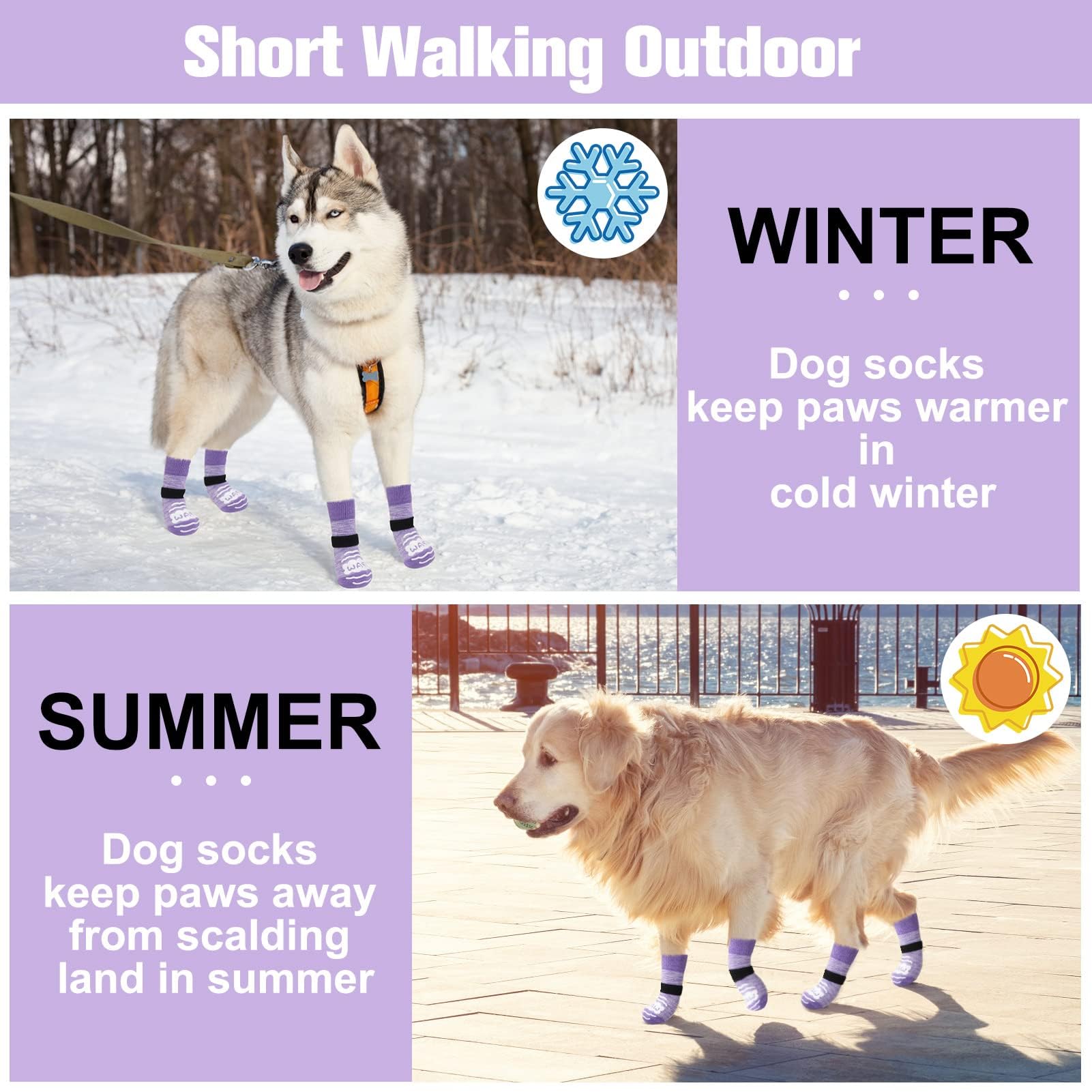 BEAUTYZOO paquete de 6 calcetines para perro con repuestos
