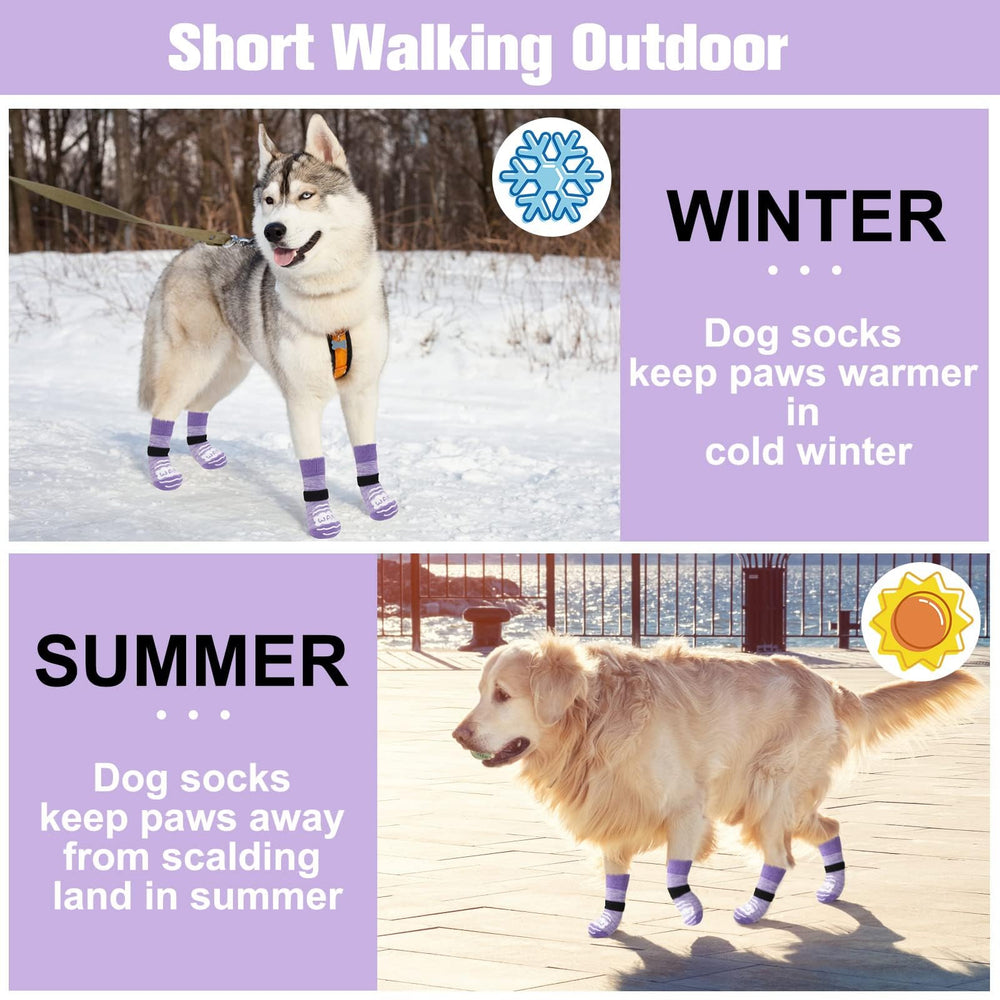 BEAUTYZOO paquete de 6 calcetines para perro con repuestos