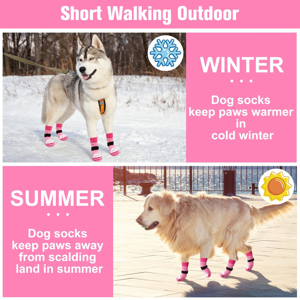 BEAUTYZOO protección de patas frente al calor en superficies expuestas.
