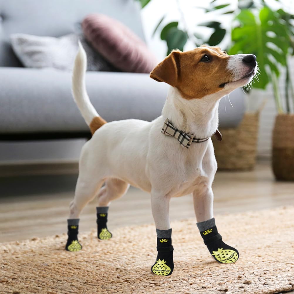 Protección de patas BEAUTYZOO frente a pavimento caliente o frío