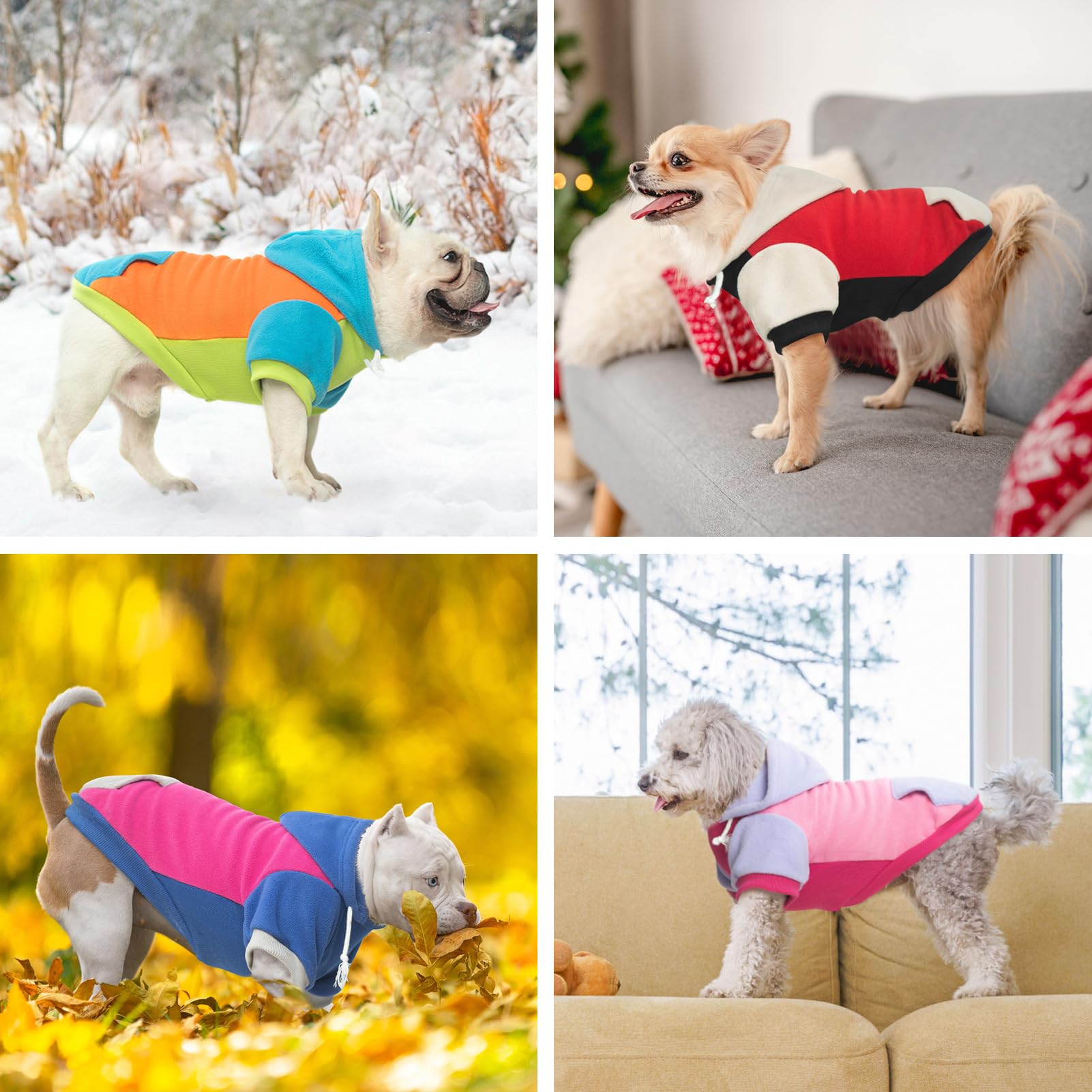 BEAUTYZOO sudadera-perro con capucha ajustable para días fríos y viento.