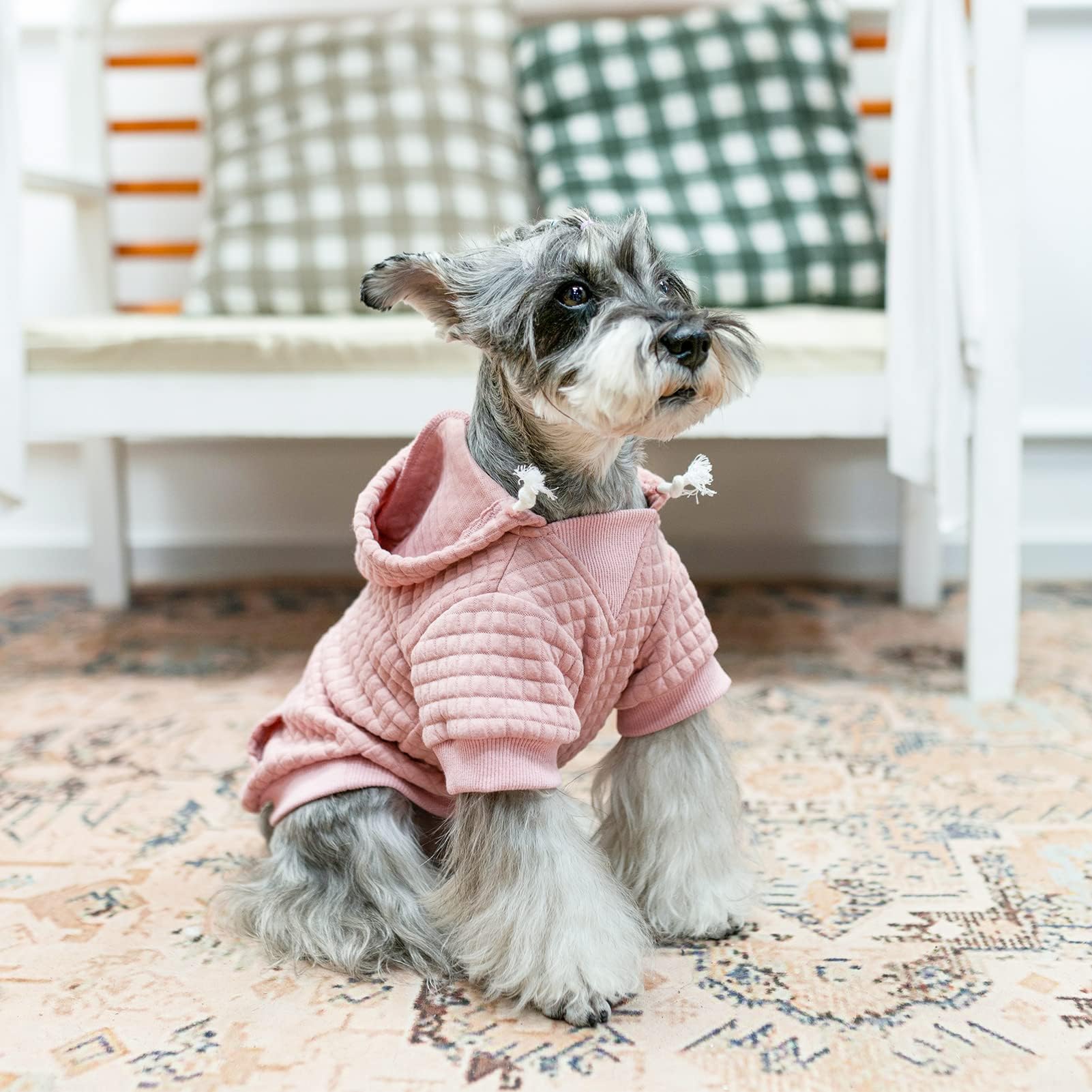 BEAUTYZOO sudadera para perro grande, diseño moderno y etiqueta de cuero
