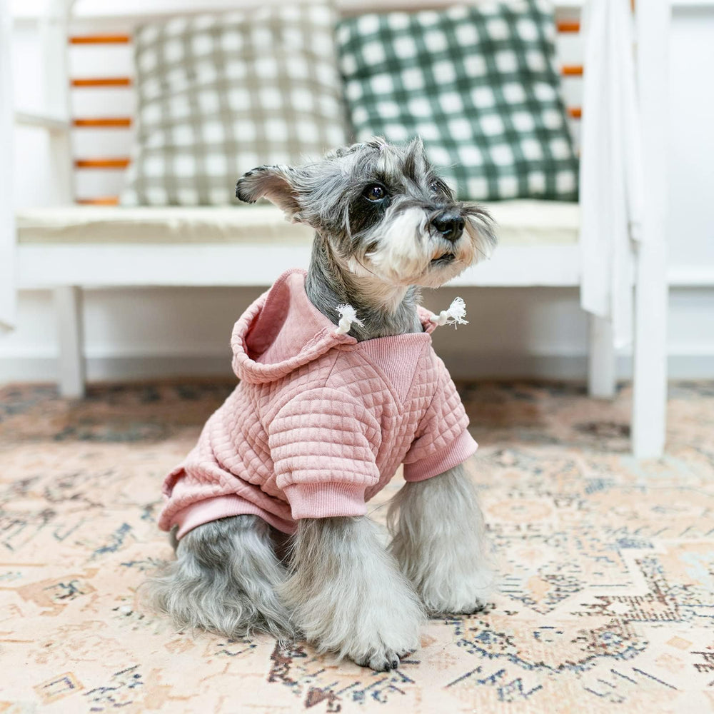 BEAUTYZOO sudadera para perro grande, diseño moderno y etiqueta de cuero