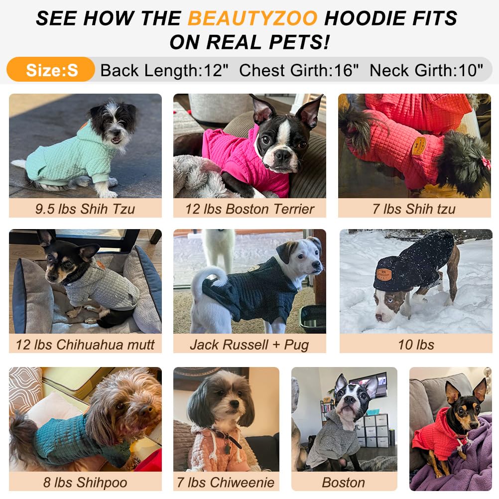 BEAUTYZOO Ropa para salir con perro pequeño, fácil de limpiar