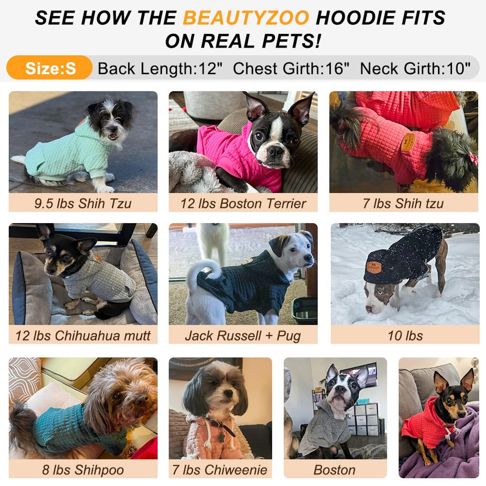 BEAUTYZOO Ropa para salir con perro pequeño, fácil de limpiar