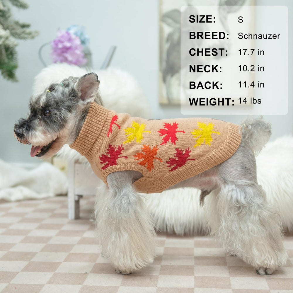 BEAUTYZOO sudadera de uso diario, diseño cómodo para casa y salidas.