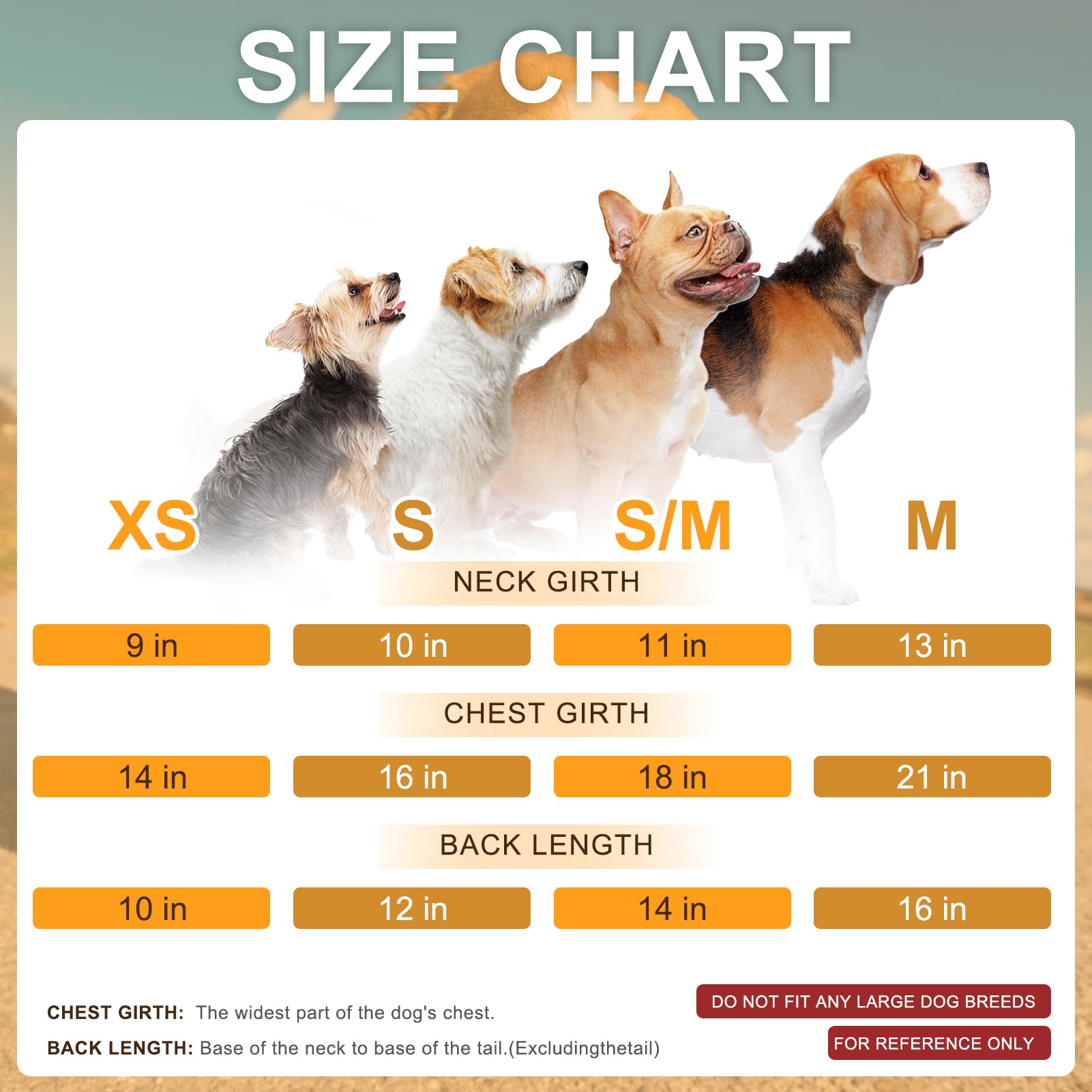 BEAUTYZOO sudadera para perro uso diario interior y exterior, protección ligera