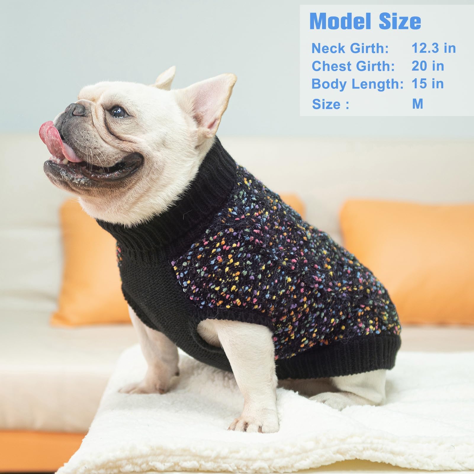 BEAUTYZOO suéter diario para perro, ideal para paseos e interiores.
