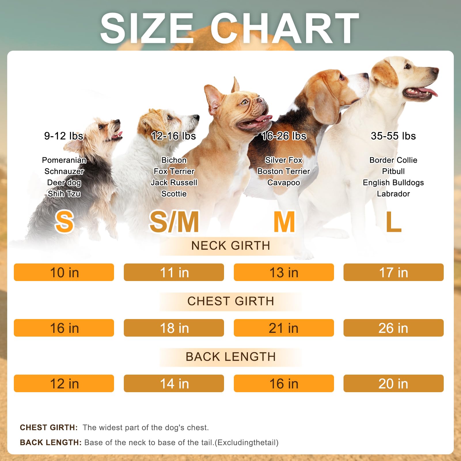BEAUTYZOO suéter rosa, detalle dorsal, estilo moderno para tu mascota
