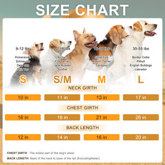 BEAUTYZOO suéter rosa, detalle dorsal, estilo moderno para tu mascota
