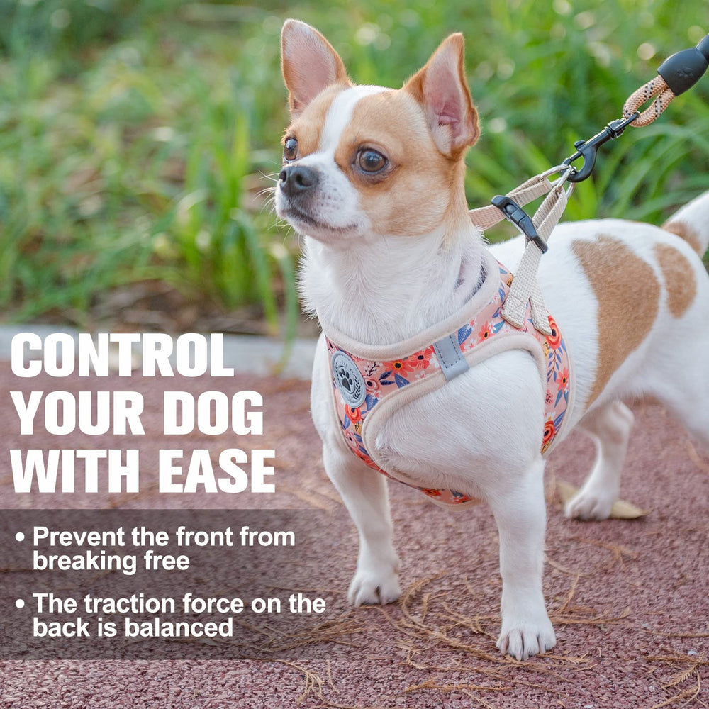 Tallas XXS–XS–S para perros y gatos, ajuste preciso.