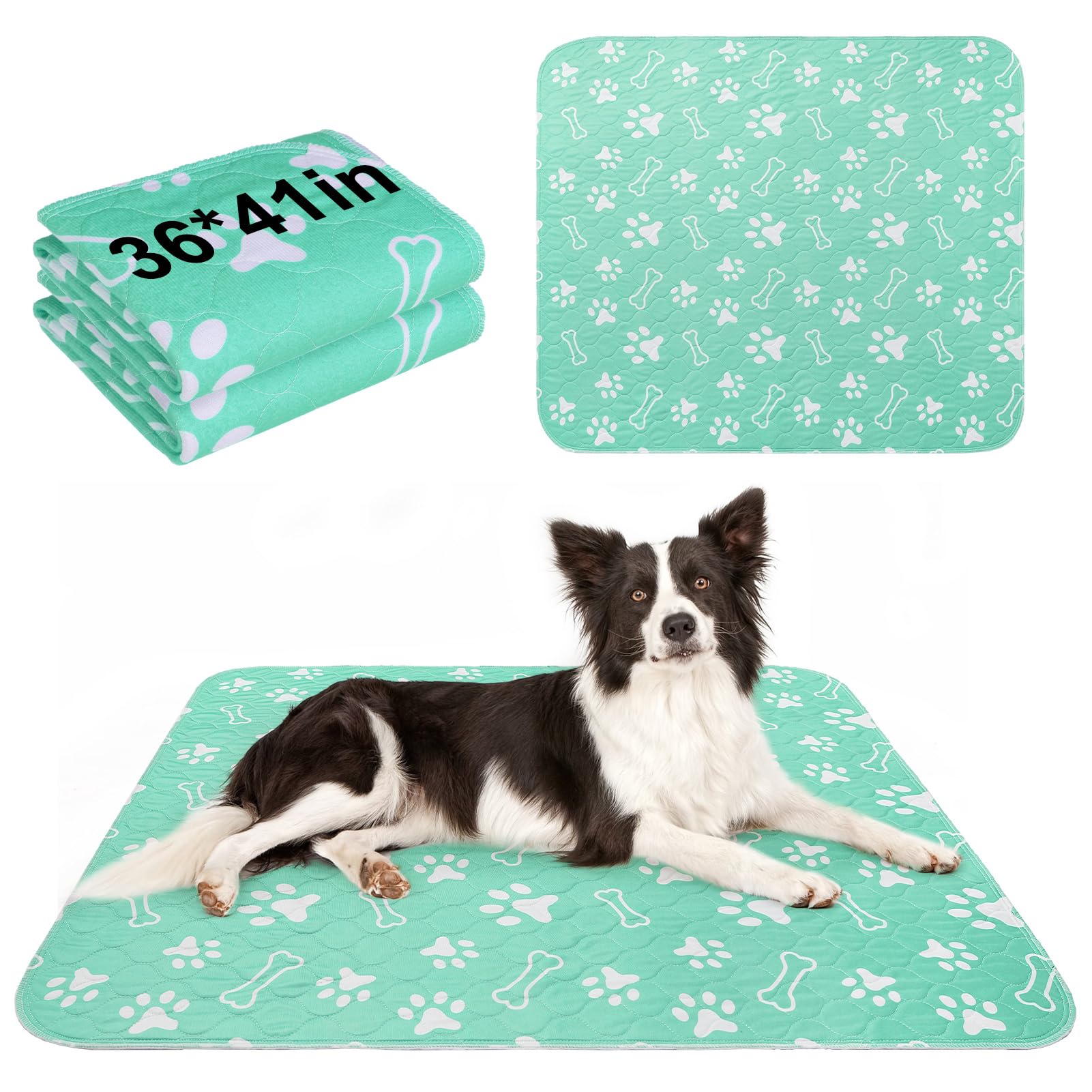 Tapete lavable BEAUTYZOO 36x41 para entrenamiento de cachorros y protección del suelo.