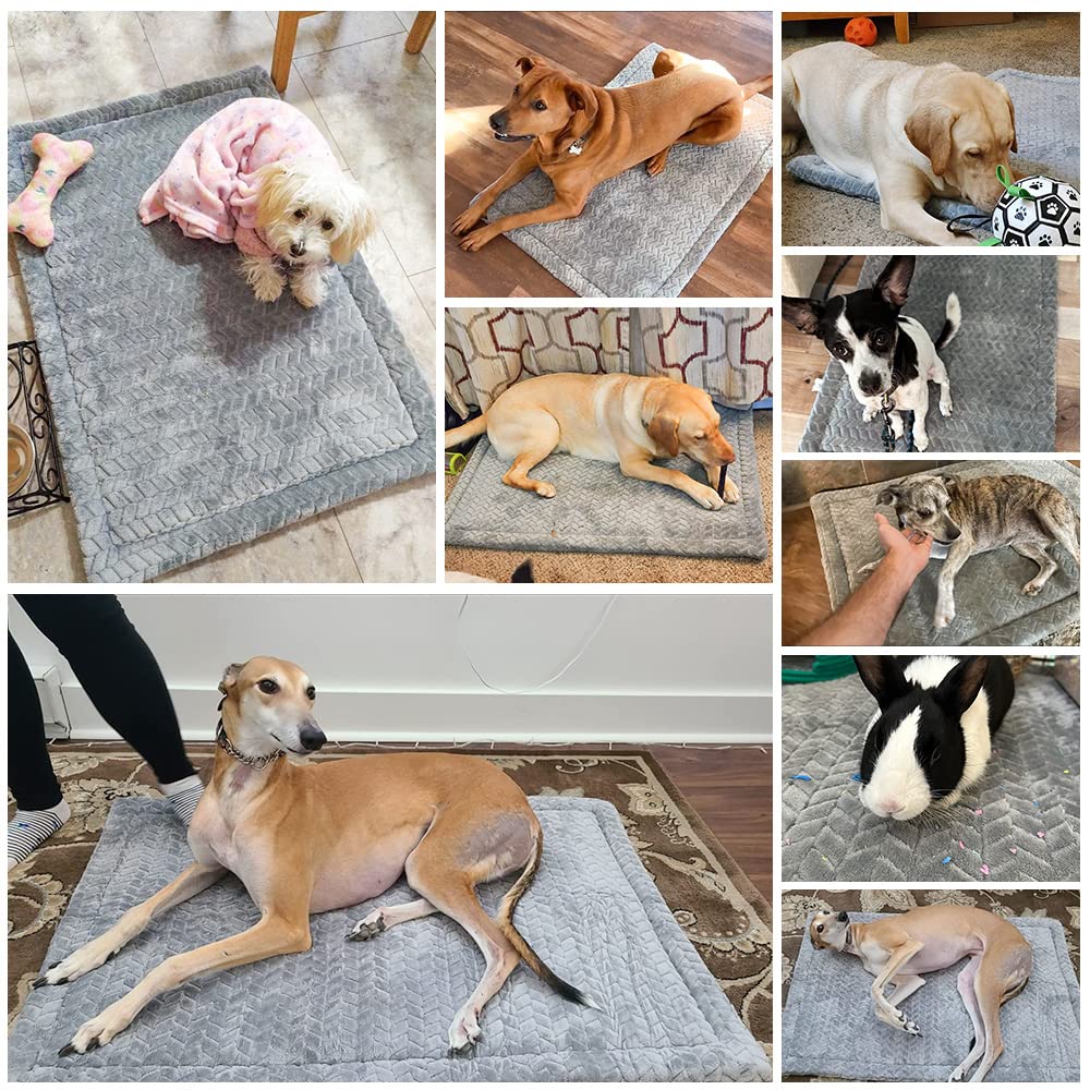 Colchon Beautyzoo XX-Large 48x30, perfecto para perros grandes.
