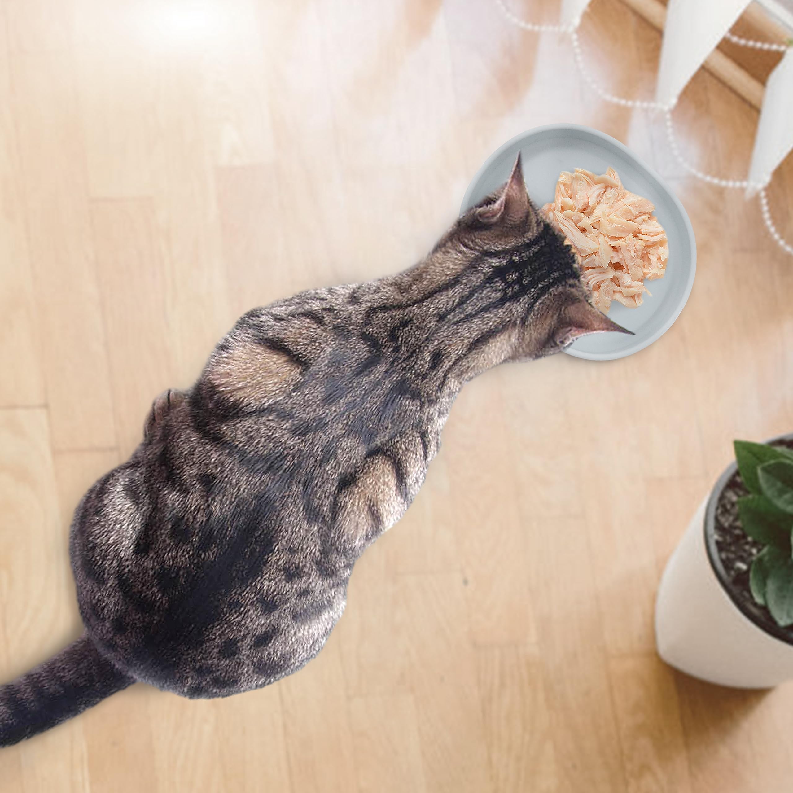 Para agua y alimento de mascotas bebeibon gris.