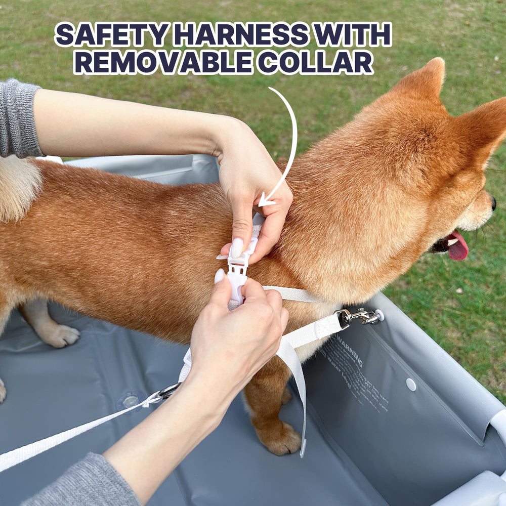 Cepillador suave BEBEROAD PETS para eliminar pelo suelto durante el baño.