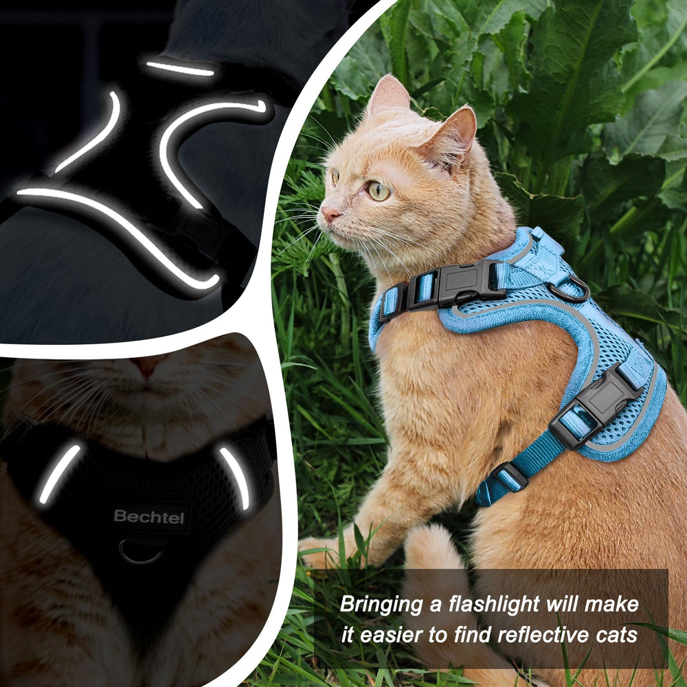 Bechtel arnés ligero y cómodo, ideal para caminatas diarias.