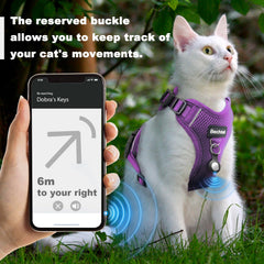 Bechtel arnés para coche con inserto de cinturón para gato seguro.