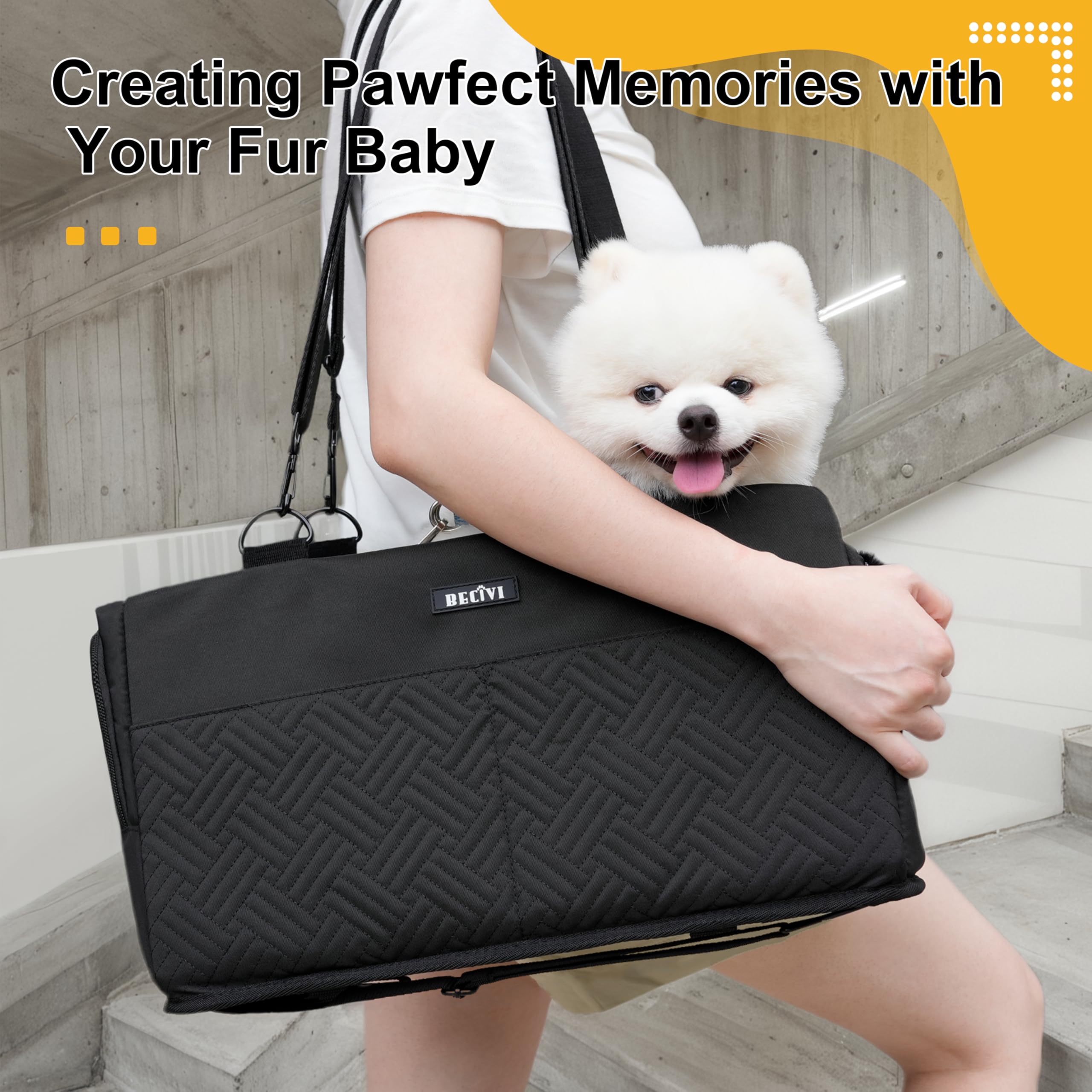 Solución 3 en 1 Becivi: asiento, bolso y cama para mascotas.